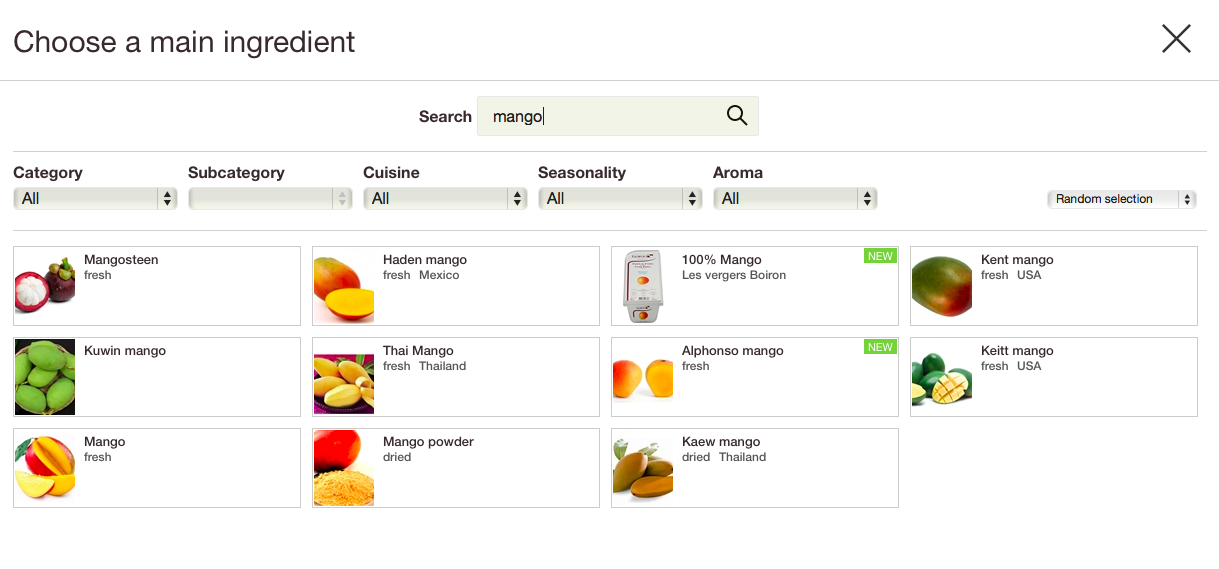 International mango festival