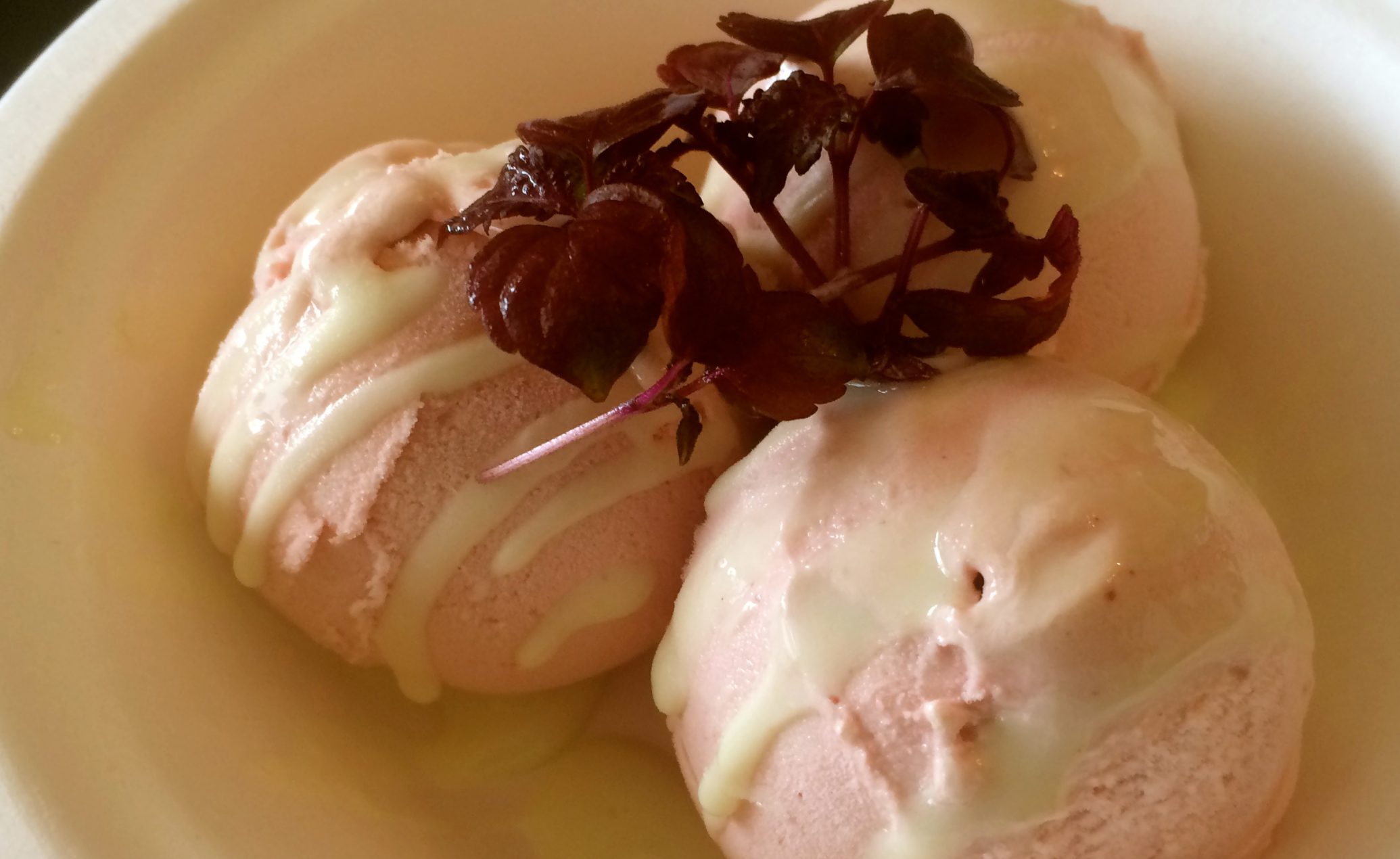 Plum icecream with wasabi and shiso Foodpairing / blog