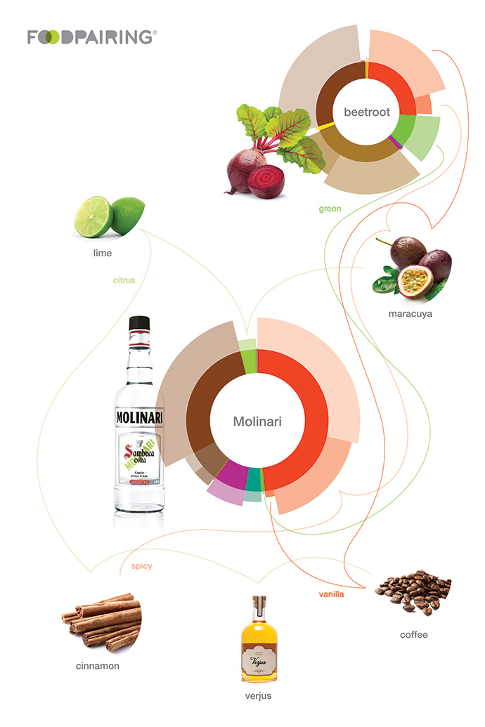 A Beetroot Cocktail with sambuca, yoghurt and coffee Foodpairing / blog