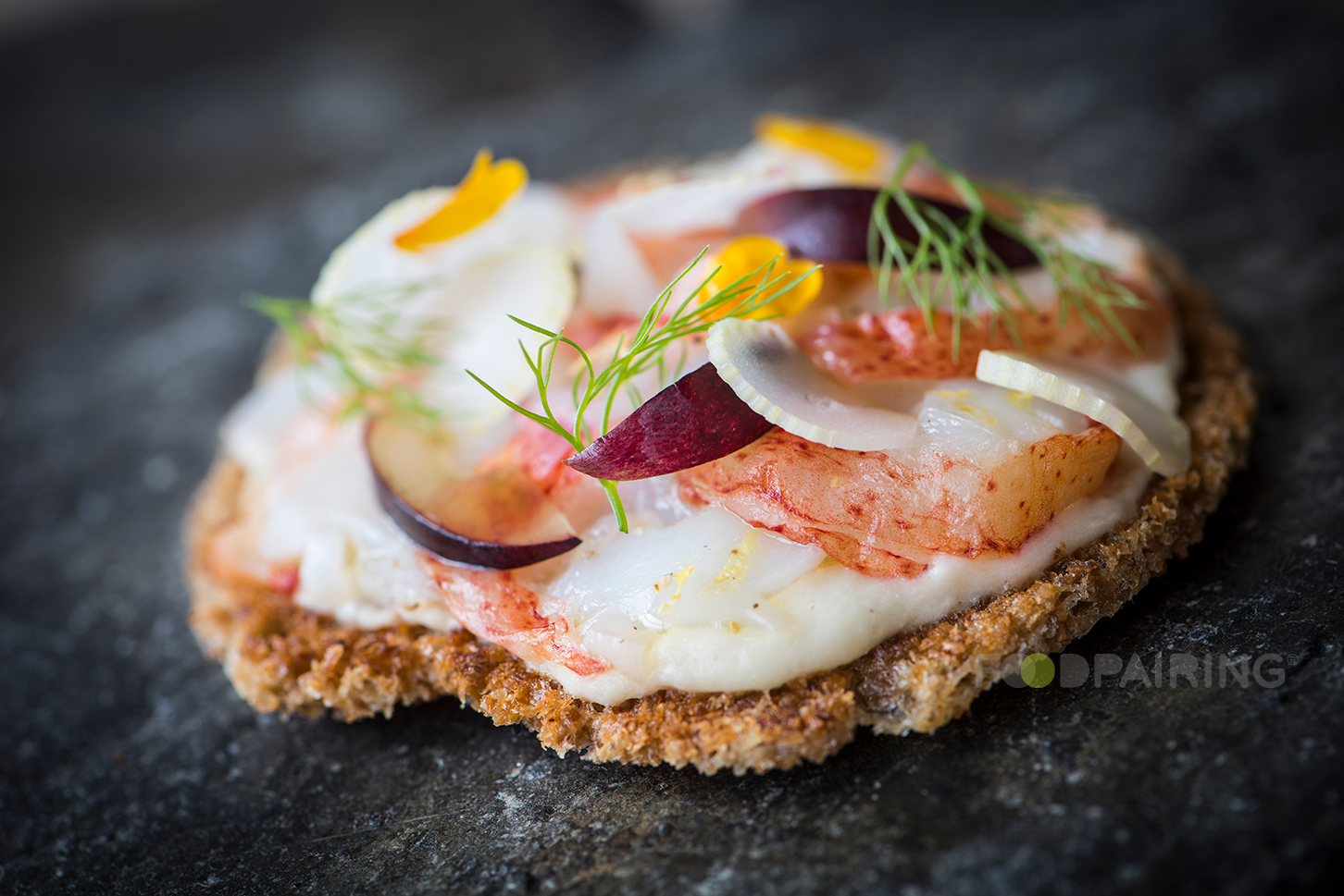 6 Fennel pairings for summer Foodpairing / blog